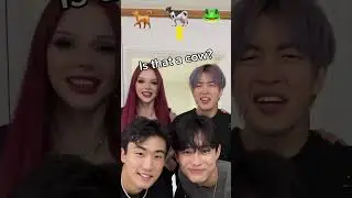 Animal sounds challenge!! 🇰🇷🇵🇱🐕🐄🐸😎 