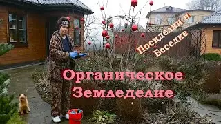 Органическое земледелие I Посиделки в беседке