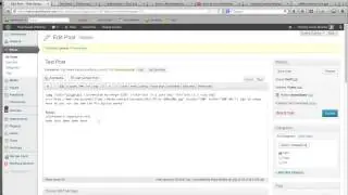 How to Embed a YouTube Video in a WordPress Post