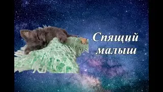Спящий малыш. Валяный котёнок сухое валяние игрушек.