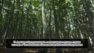 Как же прекрасен этот Коран! [HD]