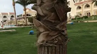 Old Palace Resort 16.11.2022