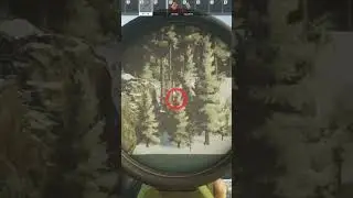 INSANE VISION😲