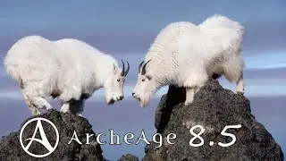ArcheAge 8.5 Горный трехсайд