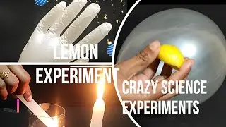 5 Crazy Science Experiments with Lemon