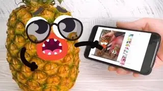 Pineapple photoshoot doodles video | OMG Doodles