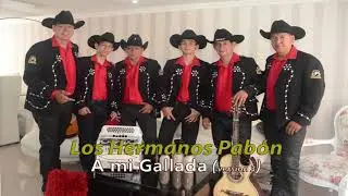 Mi gallada (versión 3)