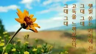심수봉 - 젊은 태양 (1979年)