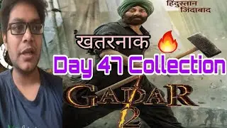 Gadar 2 Day 47 Collection | Gadar 2 Day 47 Box Office Collection | Gadar 2 Worldwide total Overseas