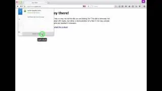Phishing with Unicode Domains - Demonstration