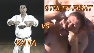 Kata vs Street Fight (Part 3)