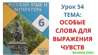 Русский язык 6 класс Урок 54 Особые слова для выражения чувств