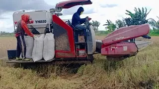 Mesin Panen Padi Tercepat Mobil Passangki #432