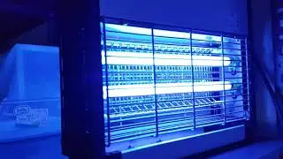 Sinek öldürücü lamba (Karasinek, yakarca ve sivrisinek yakalamak için en kolay yöntemlerden biri)