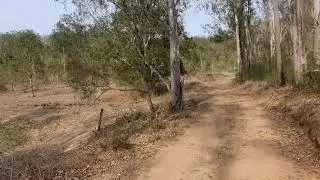 Wyaralong training hike