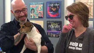 Wet Nose Wednesday  Carrie Underwood