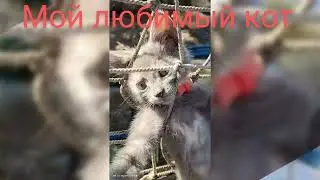 26 серпня 2024 р.