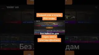 19 августа 2024 г.