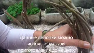 Плетеный венок из веток лиственных диревьев