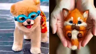 Funniest Animals 2023 😂 Funny and Cute Moment of the Animals part 10 #short #meme