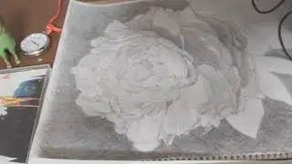 Photo reproduction of peony 4