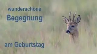 Geburtstags-Geschenk - Birthday present