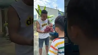 Candy or Fruit 😮🤪 Thoc TV #shorts