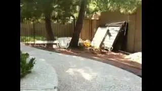 Козёл неукротимый супер паркурщик! Прикол!