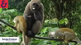 Reise-Video Ecuador & Galapagos Inseln | Berge & Meer