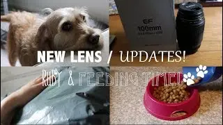 NEW LENS / UPDATES! RUBY & FEEDING TIME! 🐾 VLOG