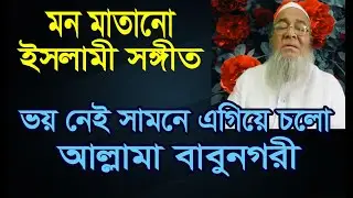 তুমি লক্ষ কোটি মুমিনের হৃদয়ে, আমরা তোমার অনুসারী। ভয় নেই সামনে এগিয়ে চল আল্লামা বাবুনগরী।Babu nagari