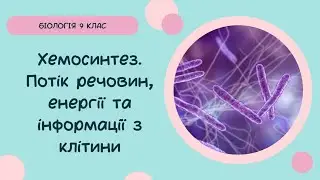 Біологія 9 клас Хемосинтез  Потік речовин, енергії та інформації з клітини