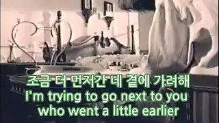 뉴 푸른 하늘 - 판도라의 상자. 1995.
