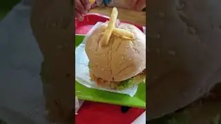 Beef burger with friends fry