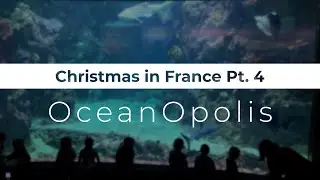 OceanOpolis | Christmas in France Pt. 4