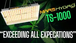 MARS HYDRO TS-1000 [2021 Version] FIRST IMPRESSIONS