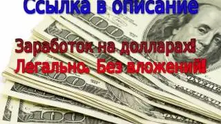 бердс зарабатывай