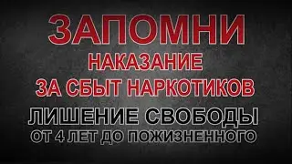 Профилактический видеоролик антинаркотической направленности