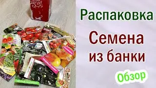 Распаковка.Семена из банки.Первые всходы.Обзор.Томаты. Перцы.Баклажаны.Базилик.Абутилон. 