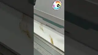 Mobilya MDF TV ünitesi UV baskı