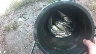 рыбалка на реке Кубань, ловля уклейки после дождя