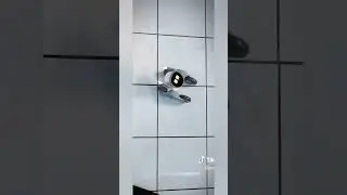 loona robot following 