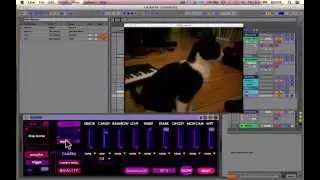 HOW TO USE ABLETON FOR SYNC'D VISUALS