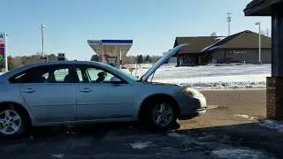 car doggo
