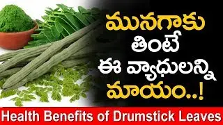 మునగ ఆకు ఉపయోగాలు | Health Benefits of Munagaku in Telugu | Drumstick Leaves Benefits | Publictalktv