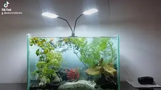 HOW TO SETUP A AQUARIUM TANK With Very Low cost Materials | Aquarium Design - Build A Fish Tank
