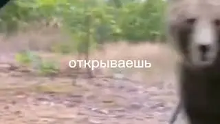 гайд на палатку