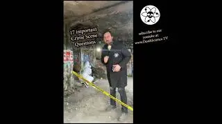 17 Important Question to Ask at a Crime Scene