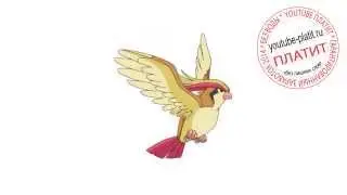 Смотреть эволюции покемонов Пиджит  pidgeot как нарисовать покемона поэтапно карандашом