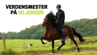 Verdensmester på islænderhest